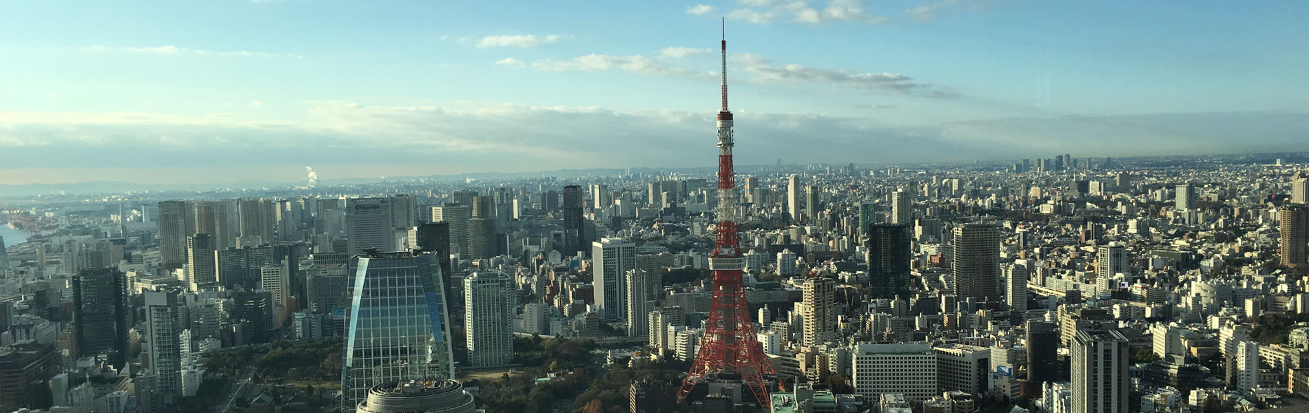 アメリカと日本の文化・ビジネス交流の専門家として。日本から世界へ、世界から日本へ。クロスウェイズが文化とビジネスを結ぶ架け橋。